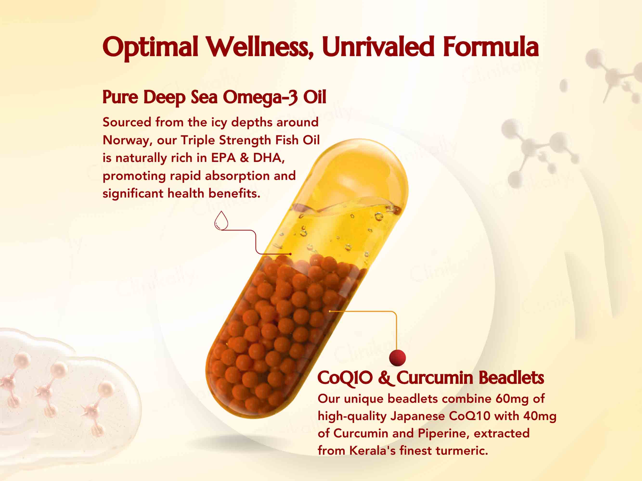 WishNew Wellness Daily Ritual 3X Omega's & CoQ-10 Capsule - Image 4