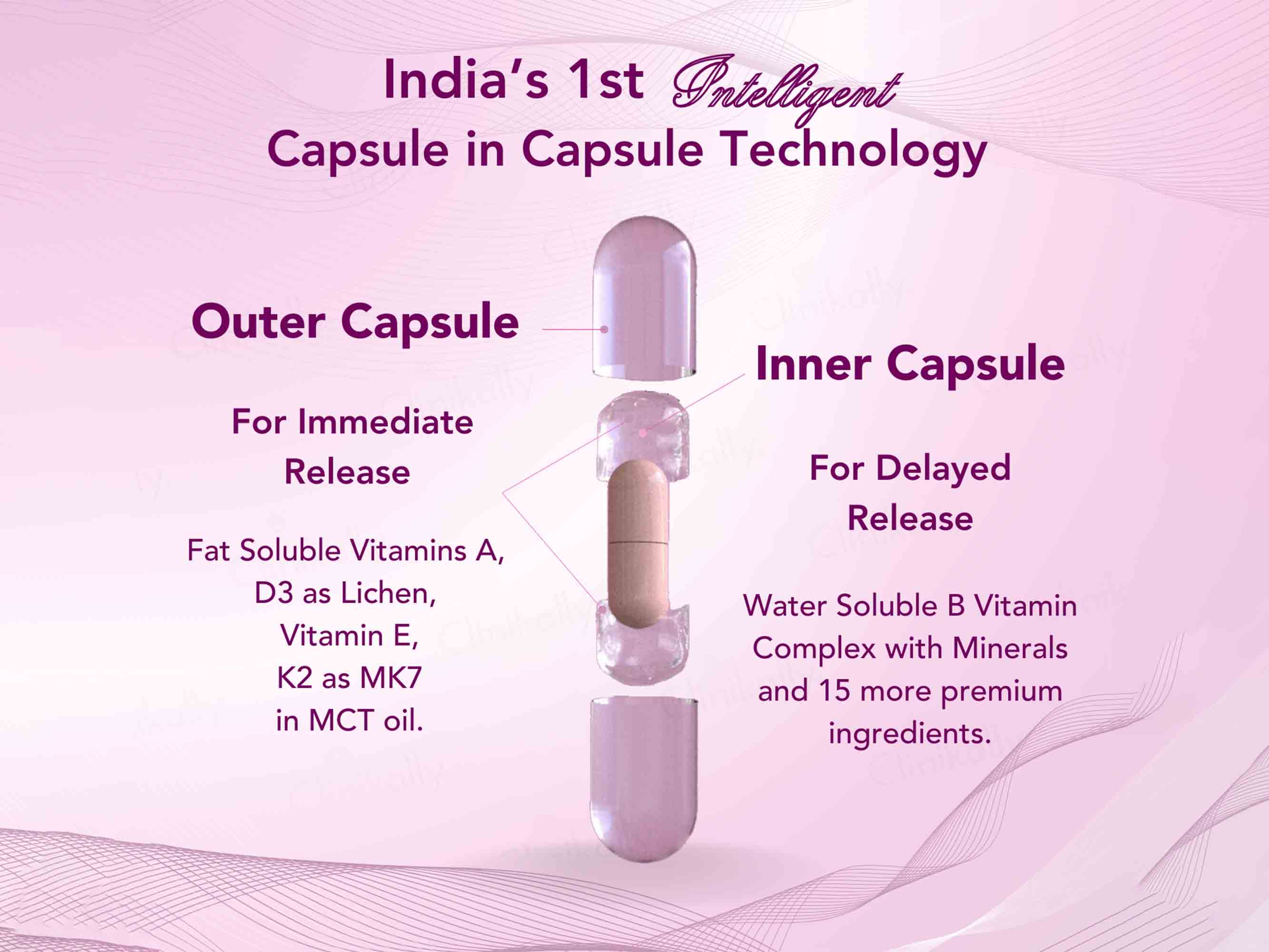 WishNew Wellness Daily Ritual Multivitamin Capsule For Women 18+ - Image 2