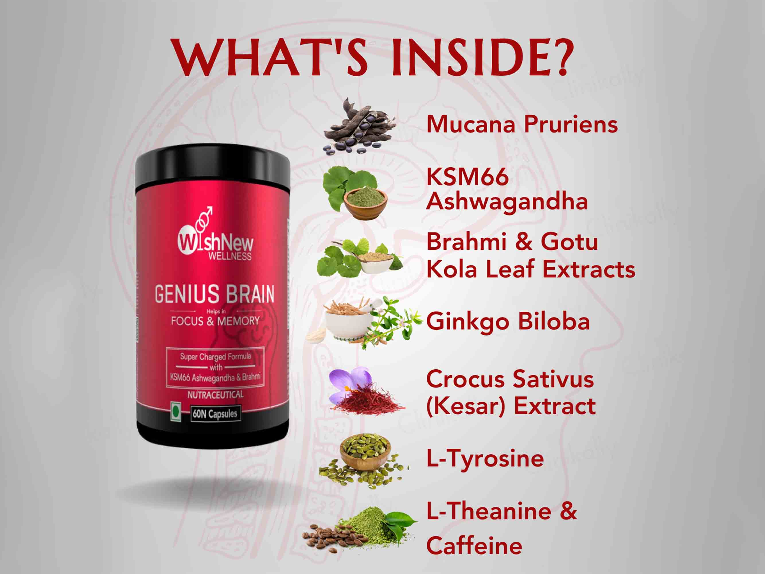 WishNew Wellness Genius Brain Focus & Memory Capsule - Image 3