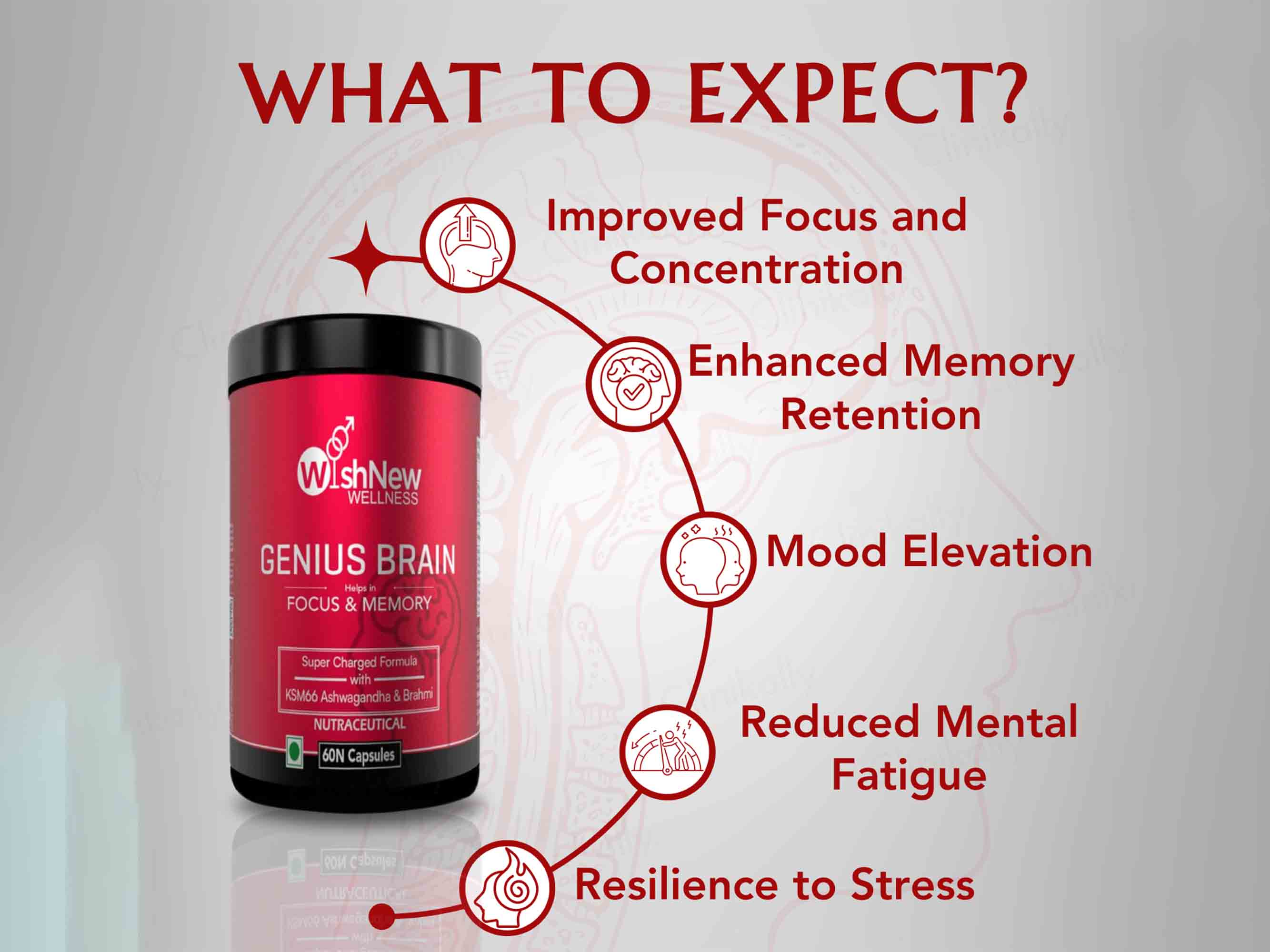 WishNew Wellness Genius Brain Focus & Memory Capsule - Image 4