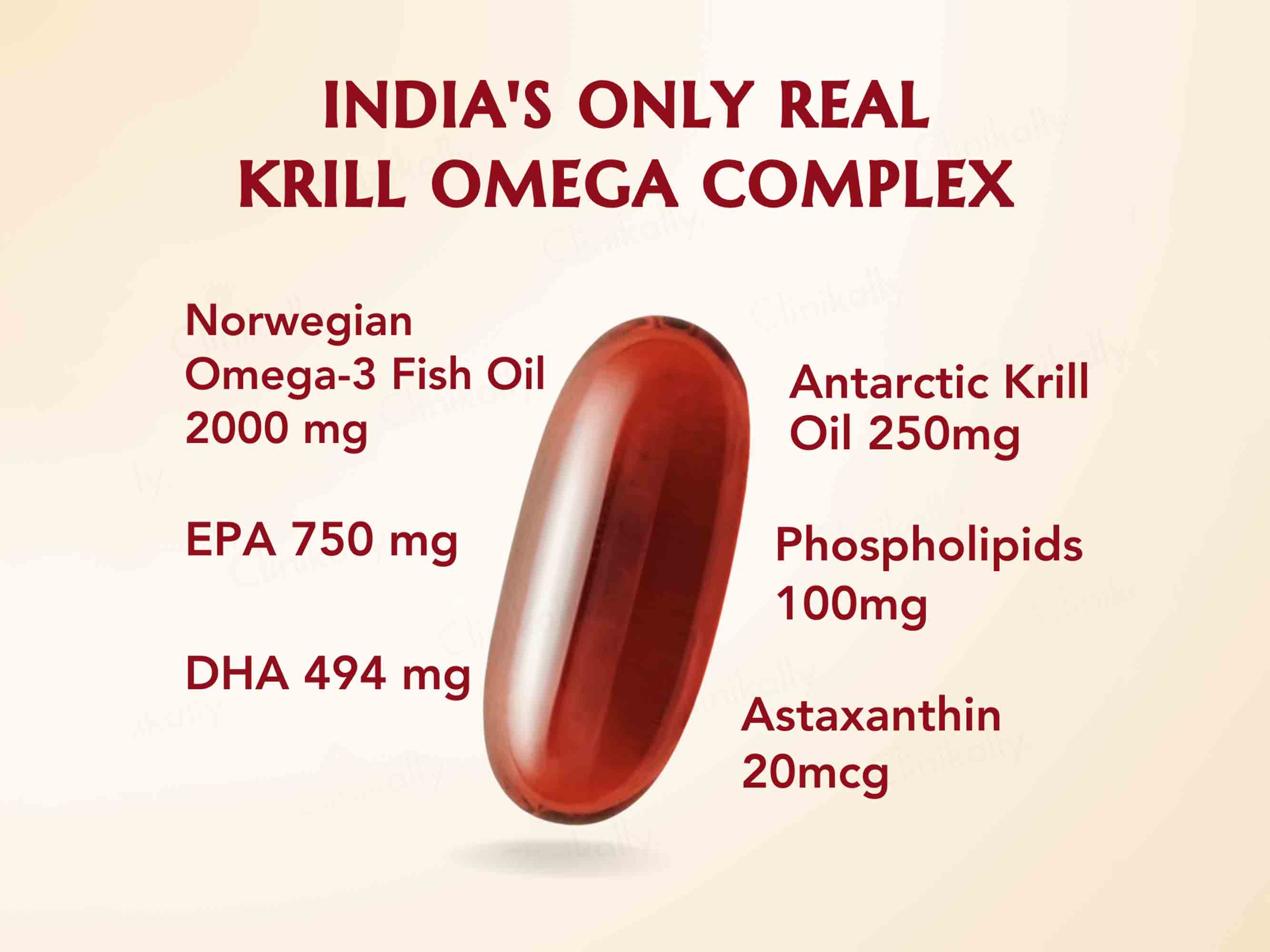 WishNew Wellness Krill Omega Complex Heart & Brain Health Softgel Capsule - Image 2