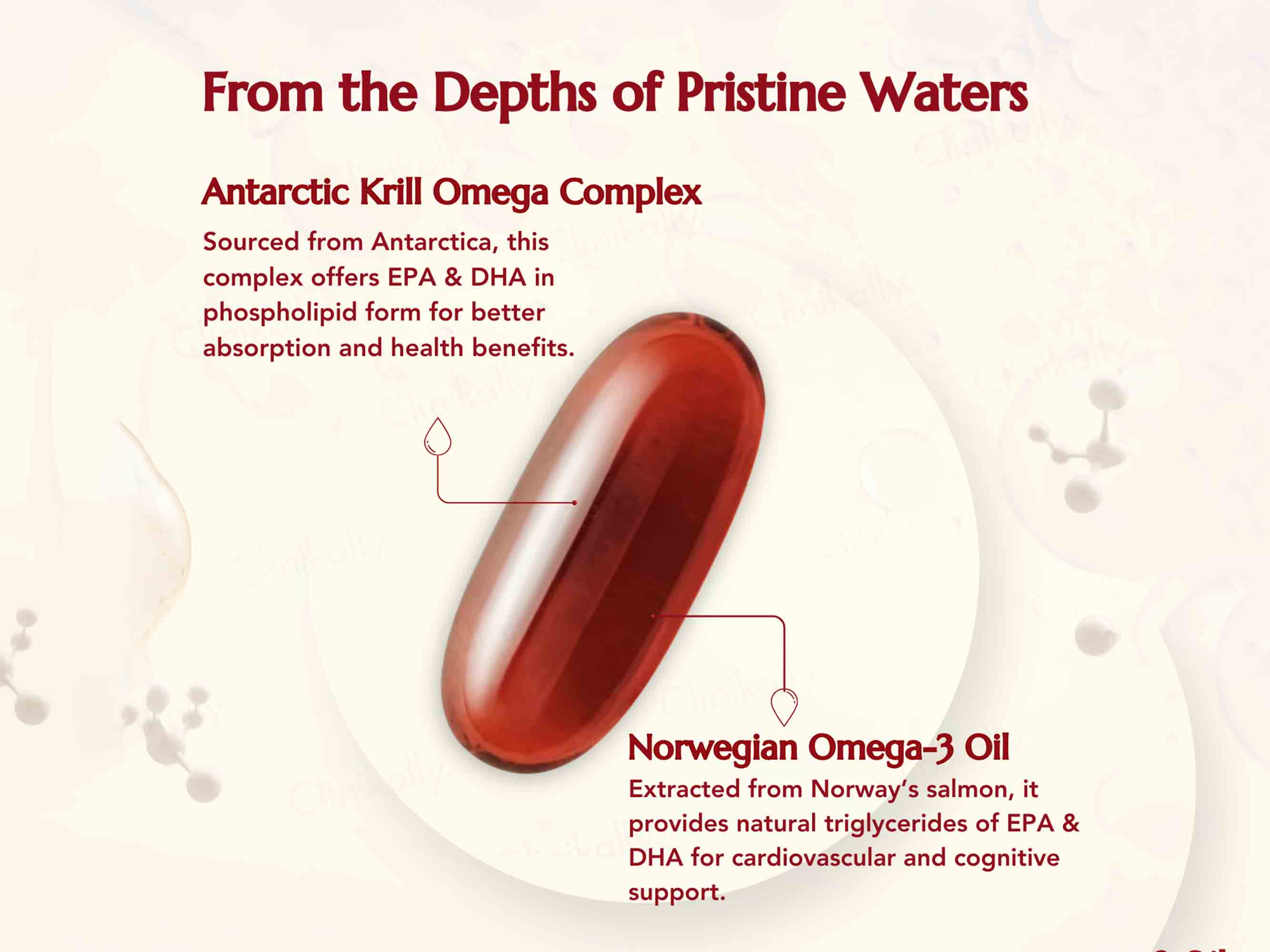 WishNew Wellness Krill Omega Complex Heart & Brain Health Softgel Capsule - Image 4