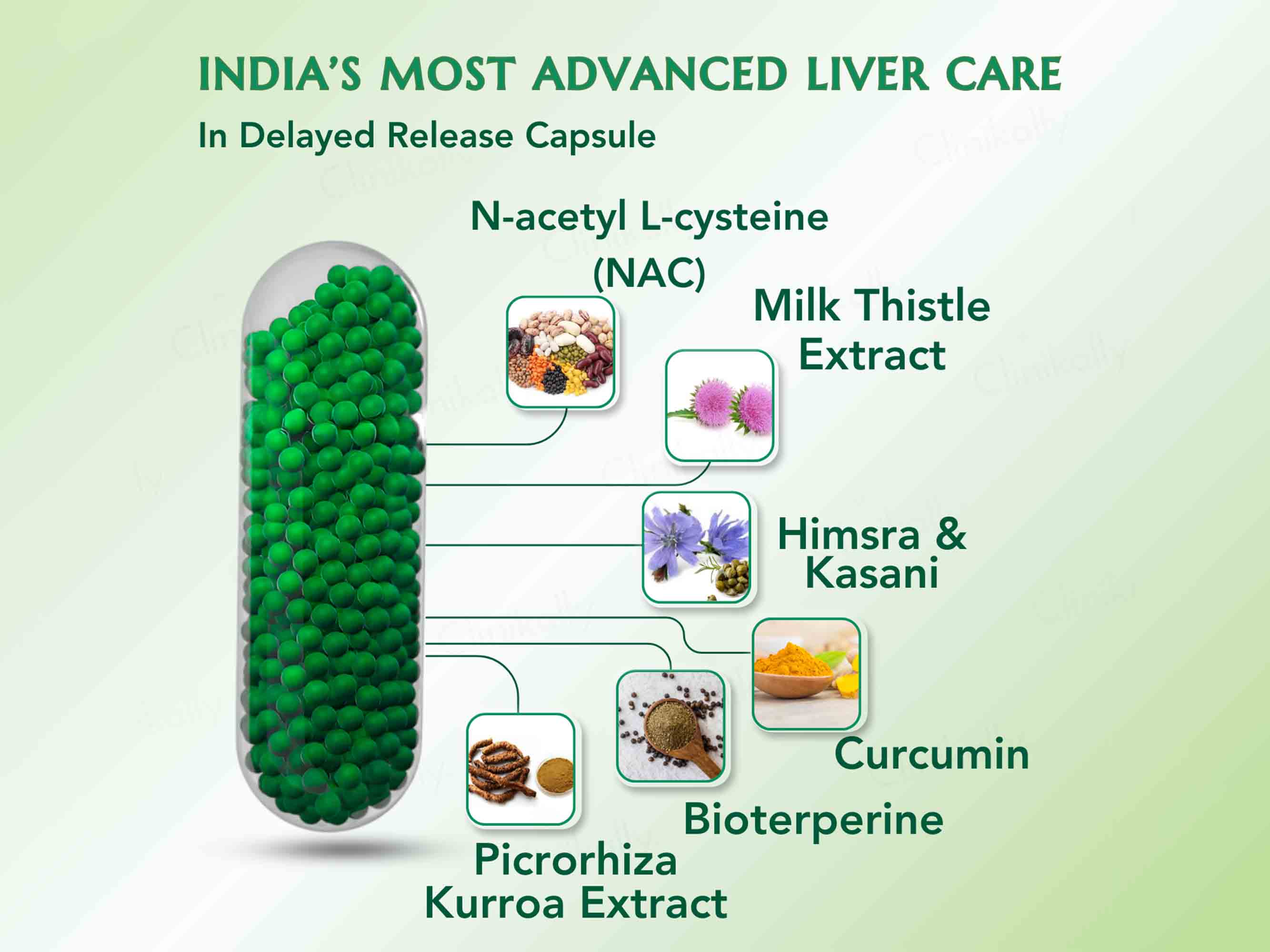 WishNew Wellness Liver Care Cleanse & Detoxify Capsule - Image 4