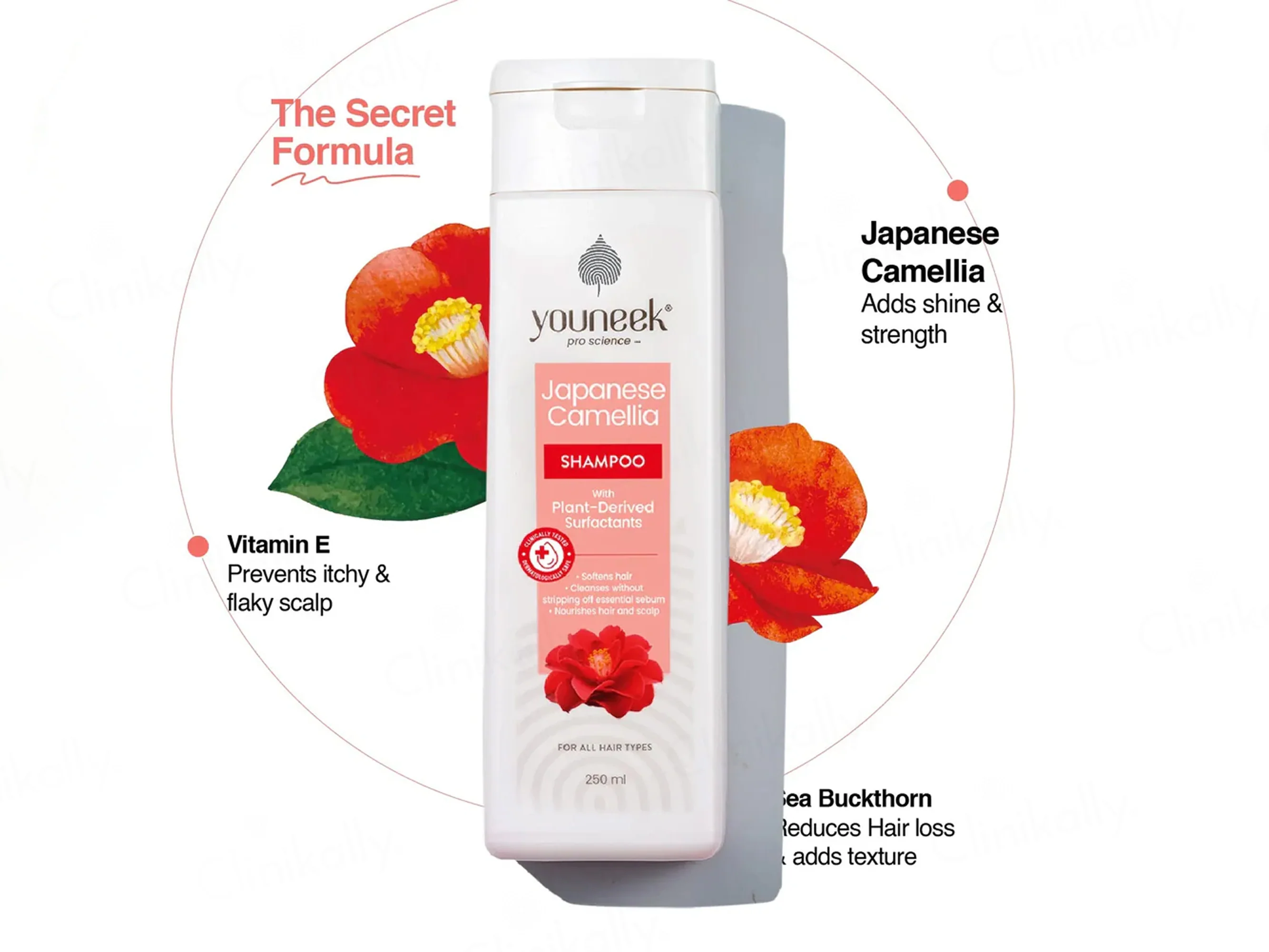 Youneek Pro Science Japanese Camellia Shampoo - Image 3